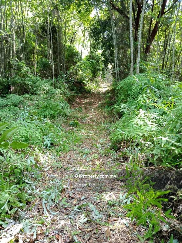 Agricultural Land for Sale in Teluk Bahang, Penang by Zusain Tan - iProperty.com.my