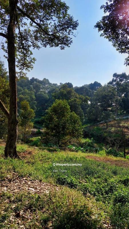 Agricultural Land for Sale in Taman Jelebu, Kuala Klawang by Ken Tham - iProperty.com.my