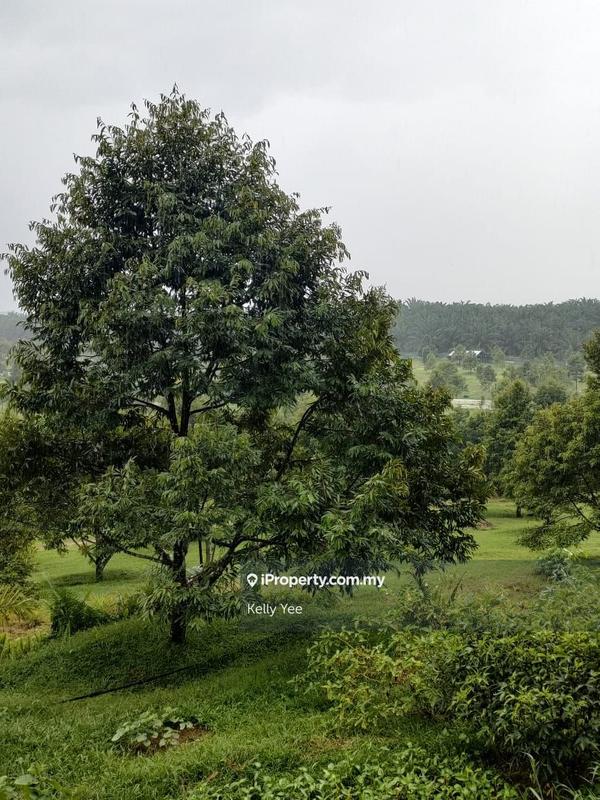 Tanah Pertanian untuk Dijual di Kampung Sungai Terap, Serdang oleh Kelly Yee - iProperty.com.my