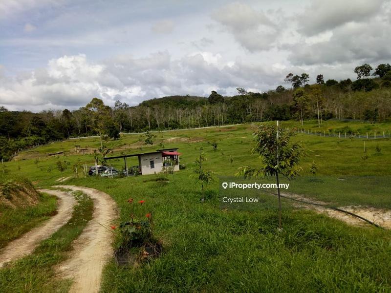 Tanah Pertanian untuk Dijual di Raub, Pahang oleh Crystal Low - iProperty.com.my