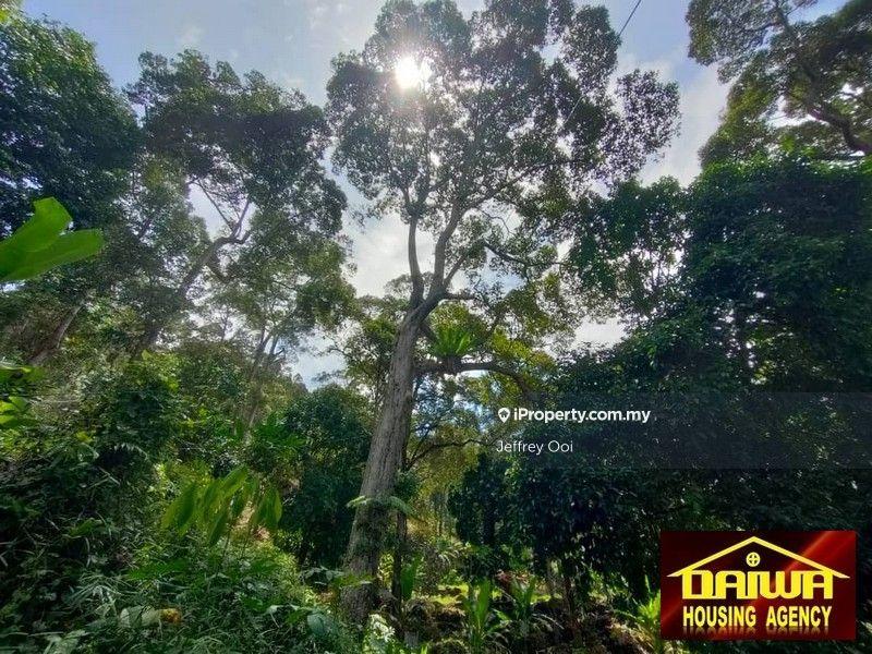 Tanah Pertanian untuk Dijual di Teluk Kumbar, Teluk Kumbar oleh Jeffrey Ooi - iProperty.com.my