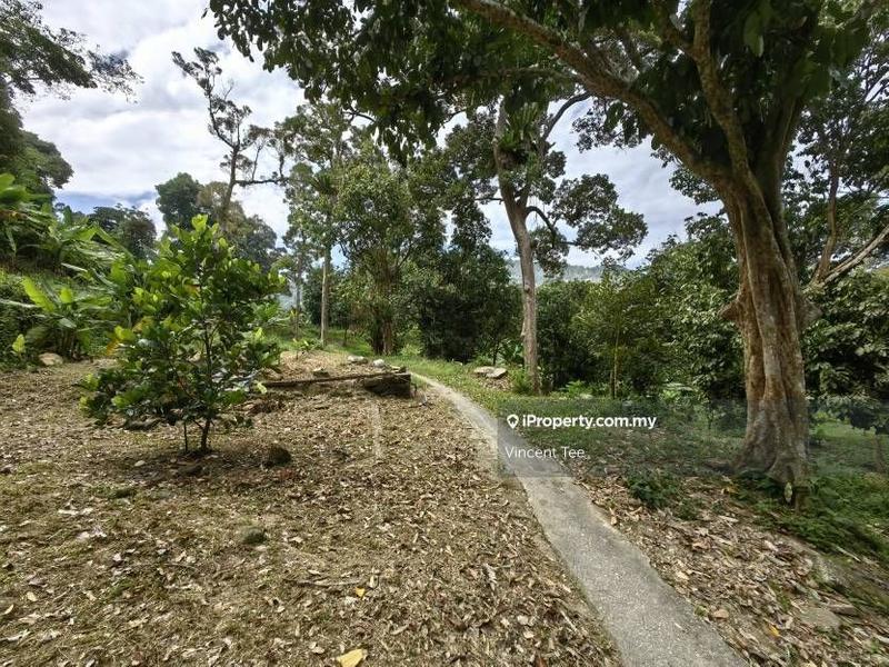 Agricultural Land for Sale in Sungai Nibong, Bayan Lepas by Vincent Tee - iProperty.com.my