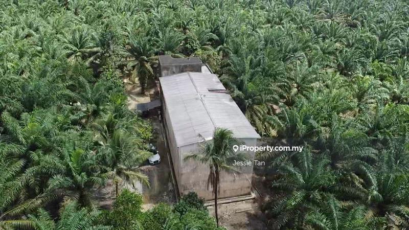 Tanah Pertanian untuk Dijual di Kota Tinggi, Johor oleh Jessie Tan - iProperty.com.my