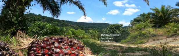 Tanah Pertanian untuk Dijual di ulu yam, Sungai Buloh oleh Darren Tan - iProperty.com.my