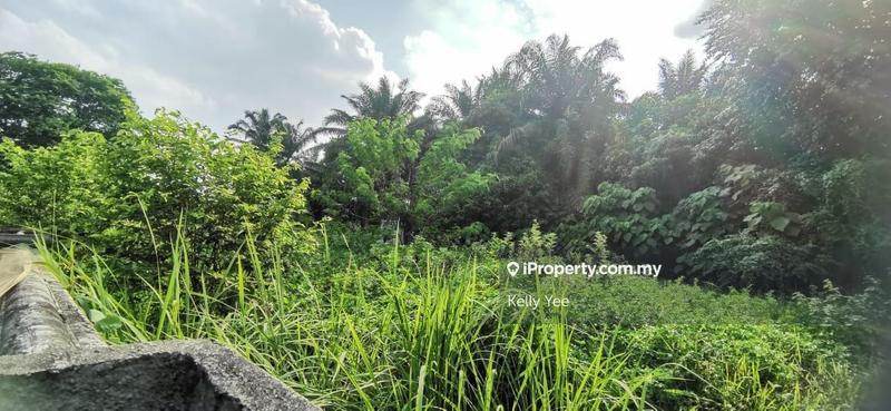 Agricultural Land for Rent in Agriculture Land along Jalan Kulim, Bukit Mertajam by Kelly Yee - iProperty.com.my