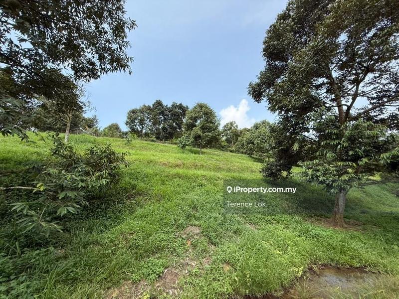 Tanah Pertanian untuk Dijual di Hosapa, Titi oleh Terence Lok - iProperty.com.my