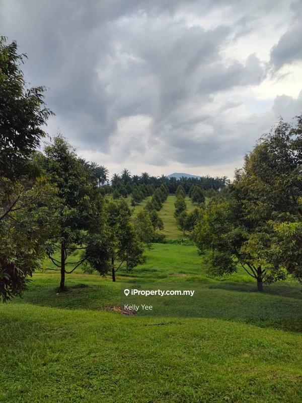 Tanah Pertanian untuk Dijual di Kampung Sungai Terap, Serdang oleh Kelly Yee - iProperty.com.my