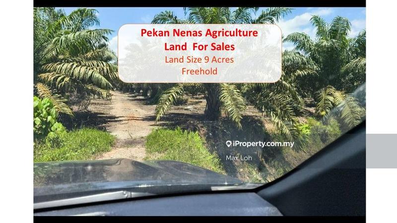 For Sale - Pekan Nenas, Pontian, Agriculture Land, Land 9 Acres