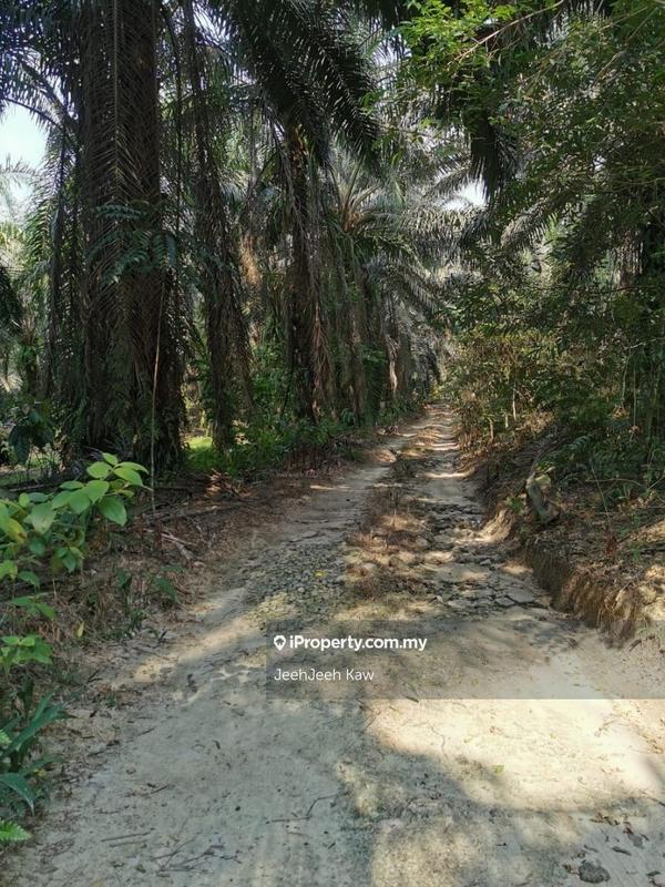 Tanah Pertanian untuk Dijual di Kulim, Kedah oleh JeehJeeh Kaw - iProperty.com.my