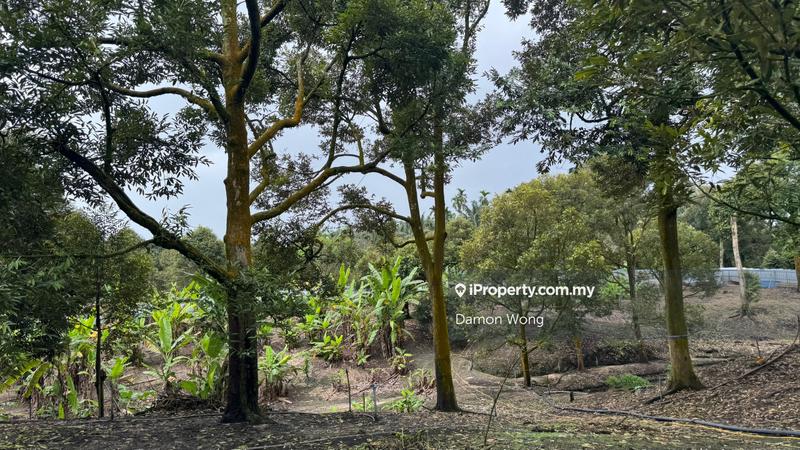 Agricultural Land for Sale in Sungai Klau, Gali by Damon Wong - iProperty.com.my