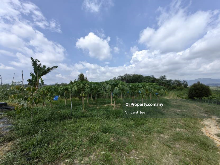 Tanah Pertanian untuk Dijual di Bandar Raub Perdana, Raub oleh Vincent Tee - iProperty.com.my