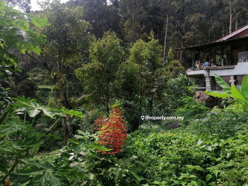 For Sale - Cherok Tokun Agriculture Land For Sale
