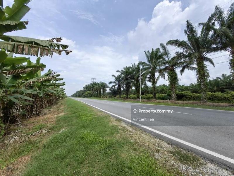 Agricultural Land for Sale in Kampung Tiram Buruk, Tanjong Karang by Vincent Tee - iProperty.com.my