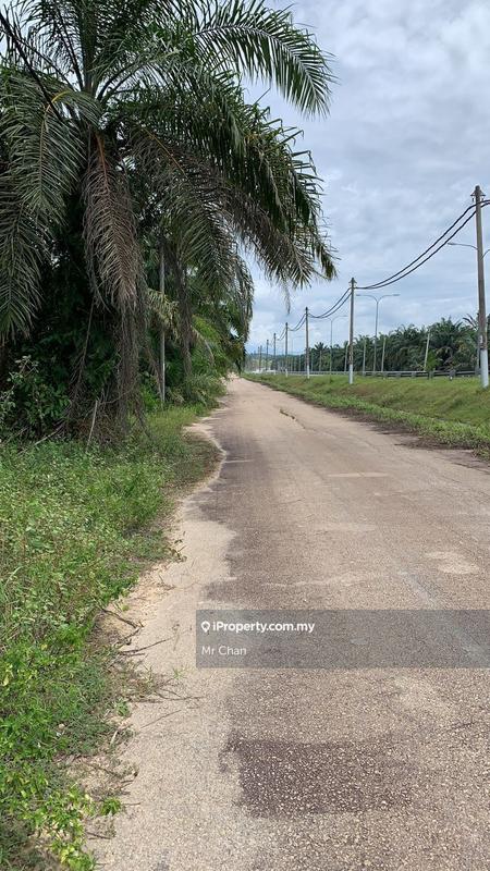 Agricultural Land for Sale in Kuala Selangor, Sungai Buloh. Bandar Tasik Puteri, Ijok by Mr Chan - iProperty.com.my
