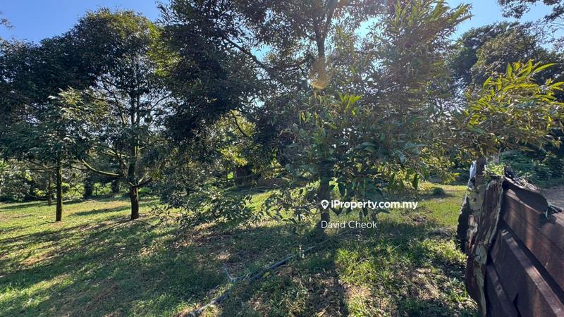 Agricultural Land for Sale in Port Dickson, Negeri Sembilan by David Cheok - iProperty.com.my