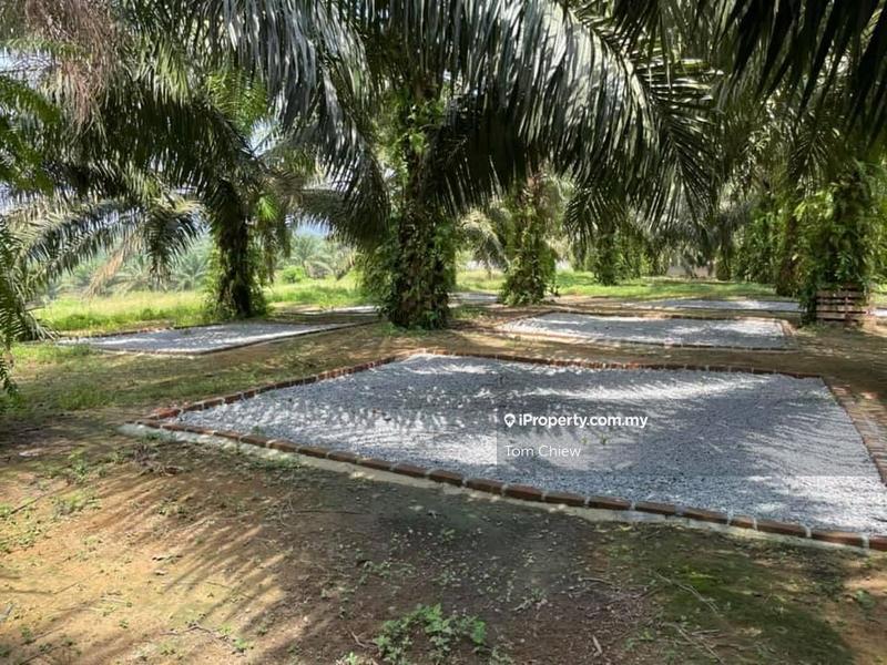 Tanah Pertanian untuk Dijual di Kota Tinggi, Kota Tinggi oleh Tom Chiew - iProperty.com.my