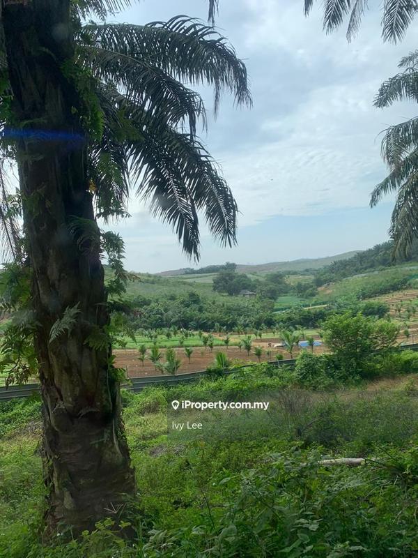 Agricultural Land for Sale in Senai, Johor by Ivy Lee - iProperty.com.my