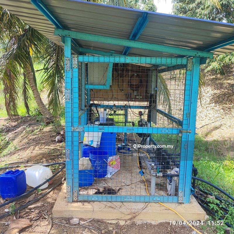 Agricultural Land for Sale in Sungai Ruan, Raub by William Looi - iProperty.com.my