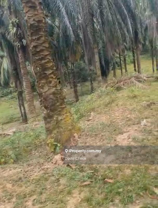 Tanah Pertanian untuk Dijual di Bandar Springhill, Port Dickson oleh David Cheok - iProperty.com.my