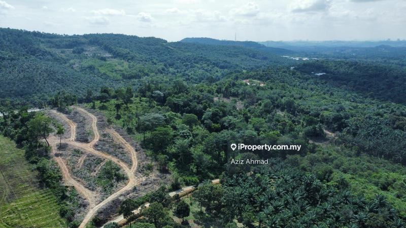 Tanah Pertanian untuk Dijual di Kampung Salak Tinggi, Sepang oleh Aziz Ahmad - iProperty.com.my