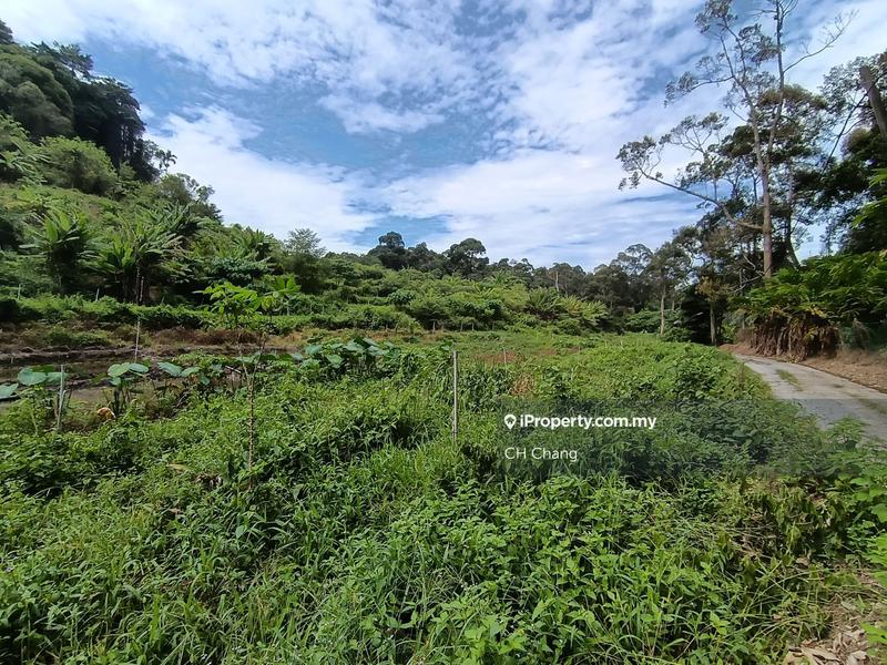 Tanah Pertanian untuk Dijual di Sungai Ara, Penang oleh CH Chang - iProperty.com.my