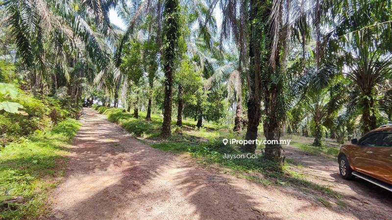For Sale - Batu Arang, Selangor, Agriculture Land Zoning Industri