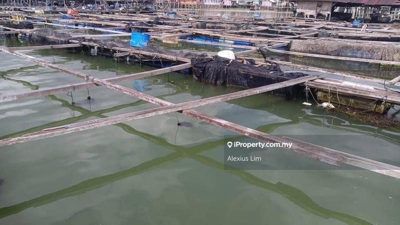 Agricultural Land for Sale in Kukup, Pontian by Alexius Lim - iProperty.com.my
