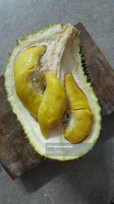 Agricultural Land for Sale in Kota, Rembau, Negeri Sembilan, Rembau by Eunice Wong - iProperty.com.my