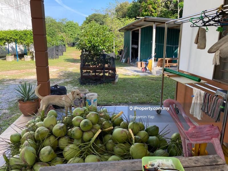 Agricultural Land for Sale in Panchor, Durian Tunggal by Benjamin Yap - iProperty.com.my