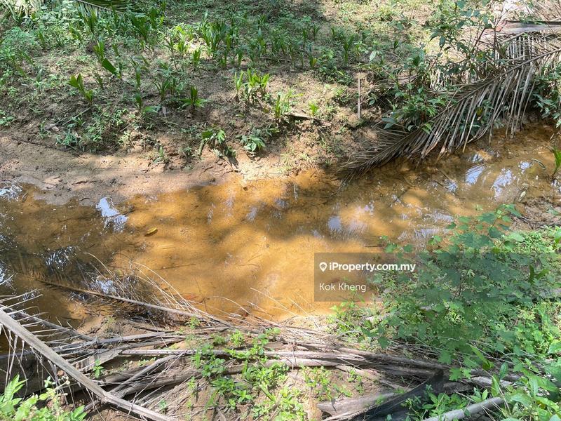 Agricultural Land for Sale in Ayer Paabas, Alor Gajah by Kok Kheng - iProperty.com.my