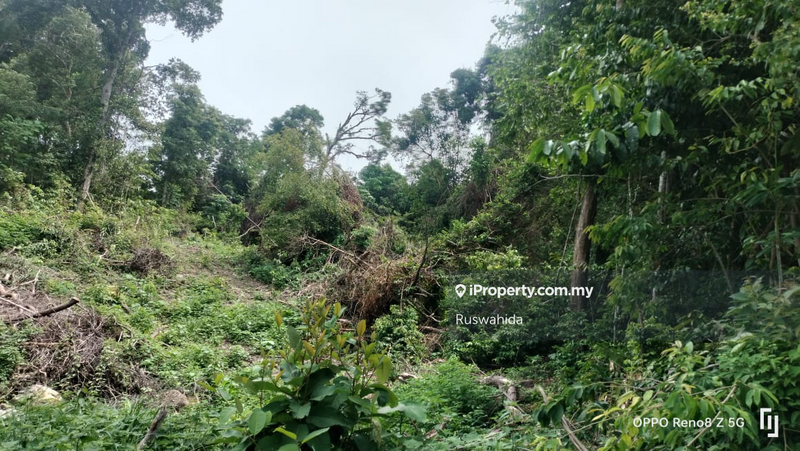 Agricultural Land for Sale in Tanjong Jaga, Yan by Ruswahida - iProperty.com.my