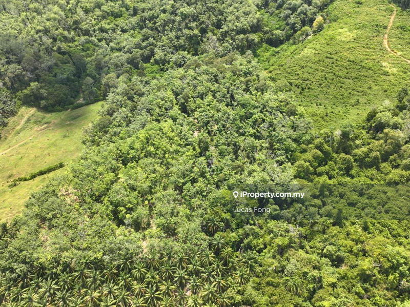 Agricultural Land for Sale in Lenggong, Gerik, Kuala Kangsar, Lenggong by Lucas Fong - iProperty.com.my