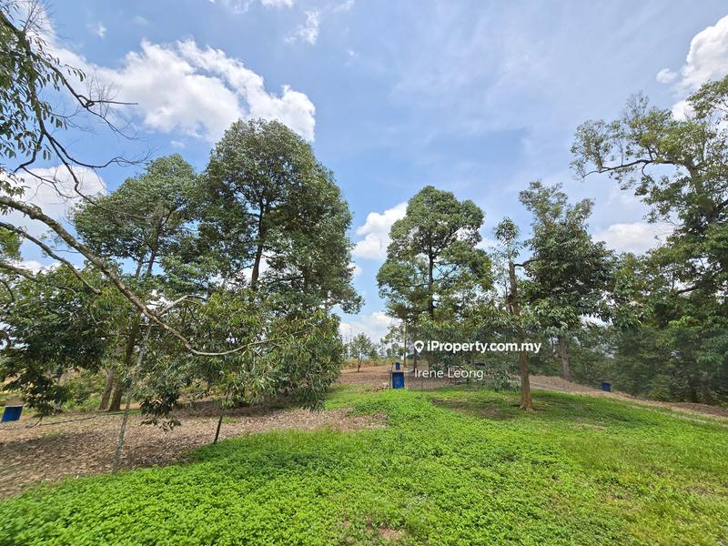 Agricultural Land for Sale in Karak, Pahang by Irene Leong - iProperty.com.my