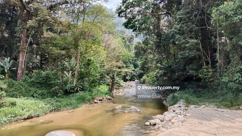 Agricultural Land for Sale in Tapah Perak 550 Acres Freehold Agriculture Land, Tapah by Winnie Chan - iProperty.com.my