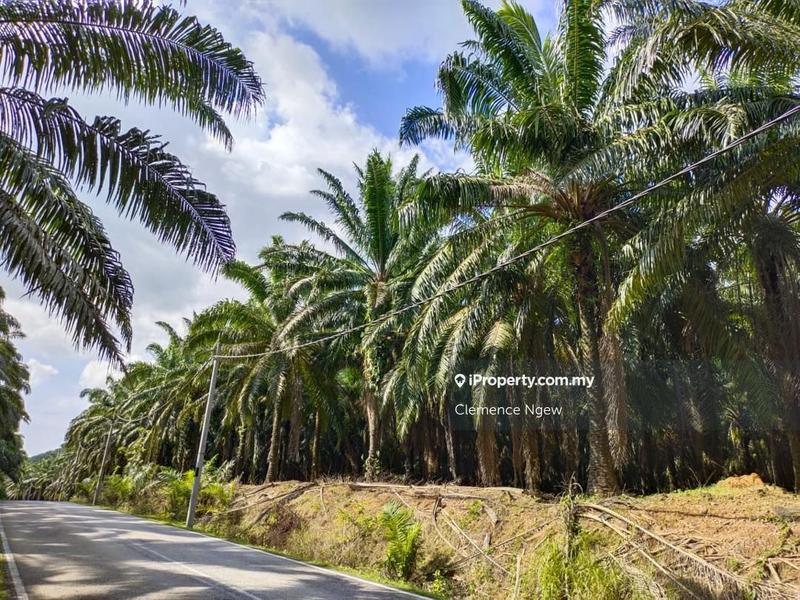 Agricultural Land for Sale in Kampung Insun, Pendang by Clemence Ngew - iProperty.com.my