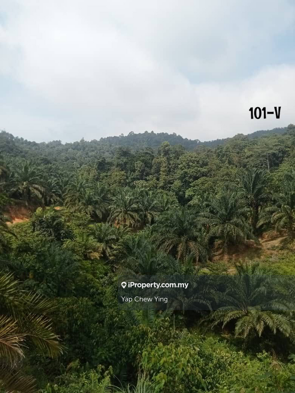 For Sale - Cheap Sale Rm2.06psf! 3 Acres Kuala Lipis, Pahang Agriculture Land