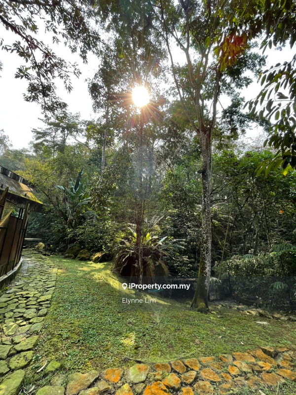 Agricultural Land for Sale in Broga, Lenggeng by Elynne Lim - iProperty.com.my