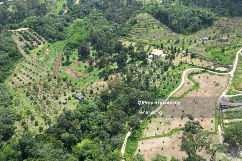 Agricultural Land for Sale in Karak, Pahang by Irene Leong - Exterior - iProperty.com.my