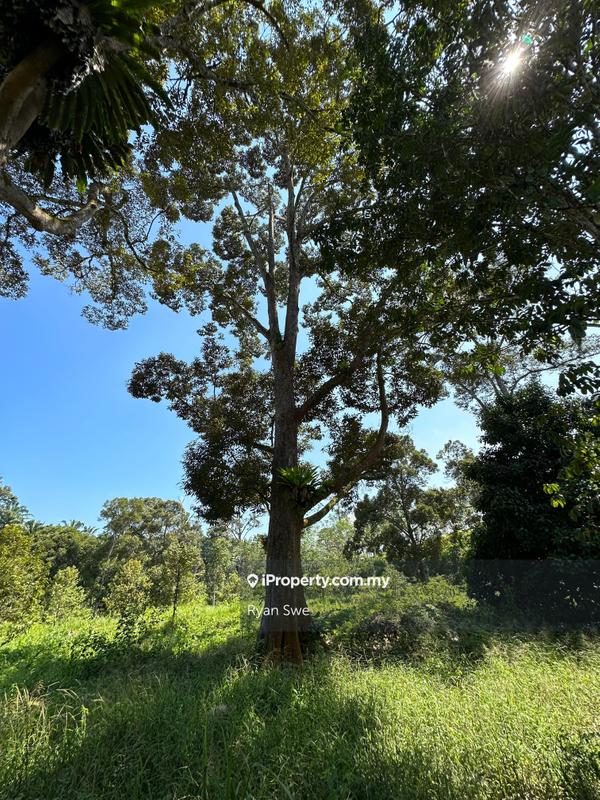 Agricultural Land for Sale in Karak, Pahang by Ryan Swe - iProperty.com.my