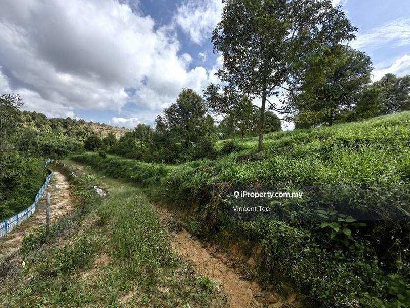 Agricultural Land for Sale in Bandar Lipis, Kuala Lipis by Vincent Tee - iProperty.com.my