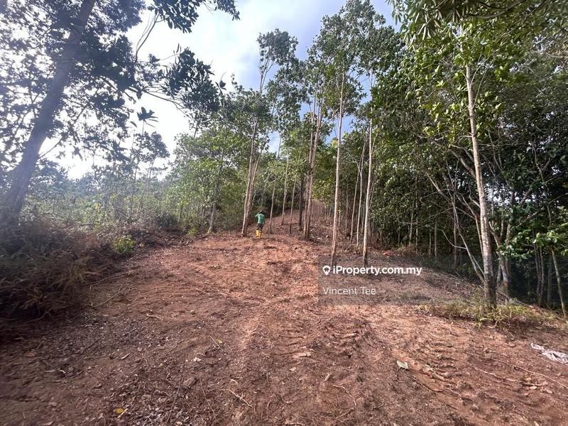 Tanah Pertanian untuk Dijual di Bandar Raub Perdana, Raub oleh Vincent Tee - iProperty.com.my
