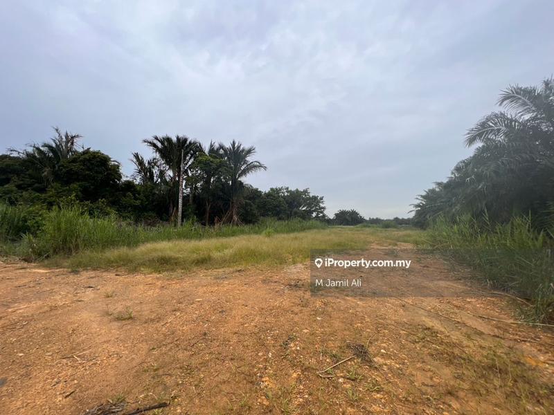 Agricultural Land for Sale in Kampung Pulau Penarek Sg Mati, Tangkak by M Jamil Ali - iProperty.com.my