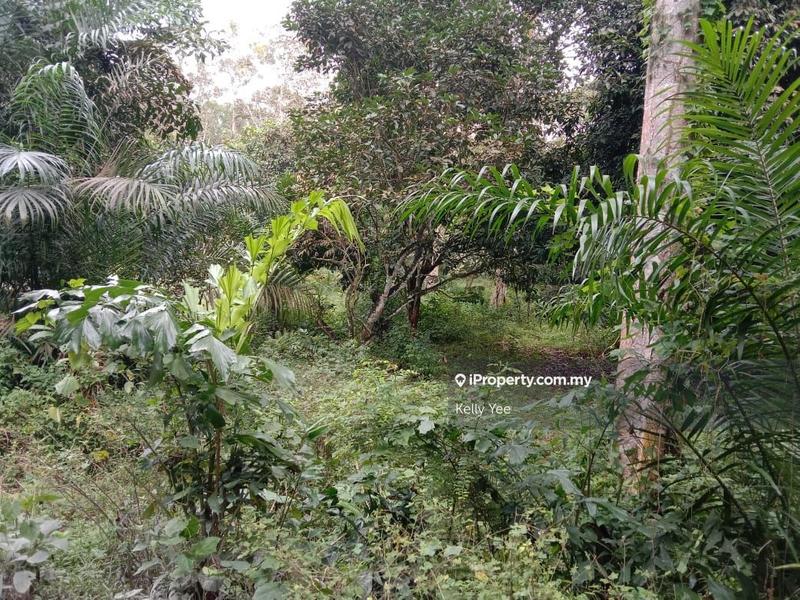 Agricultural Land for Sale in Sungai Lembu, Bukit Mertajam by Kelly Yee - iProperty.com.my