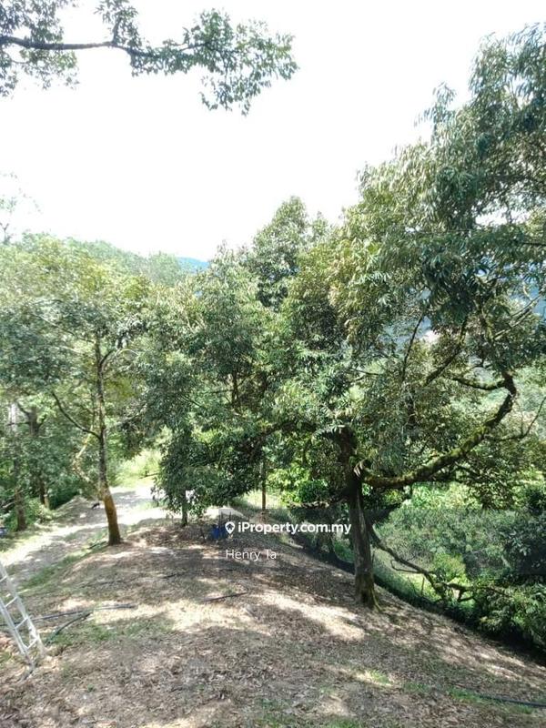 Tanah Pertanian untuk Dijual di Kawasan Perindustrian Bentong, Bentong oleh Henry Ta - iProperty.com.my