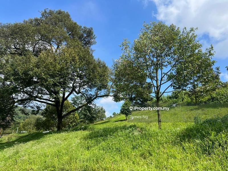 Agricultural Land for Sale in SG.GAPOI, Karak by James Ng - iProperty.com.my