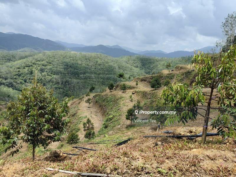 Agricultural Land for Sale in Pekan Baru Titi, Titi by Vincent Tee - iProperty.com.my