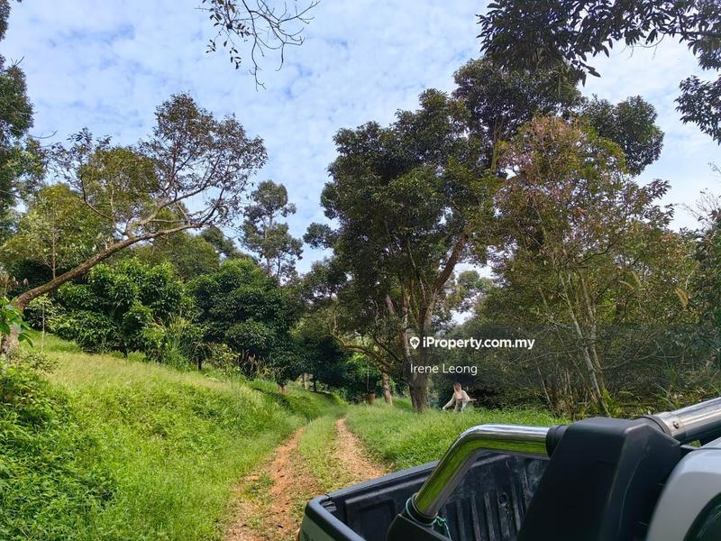 Agricultural Land for Sale in Karak, Pahang by Irene Leong - iProperty.com.my