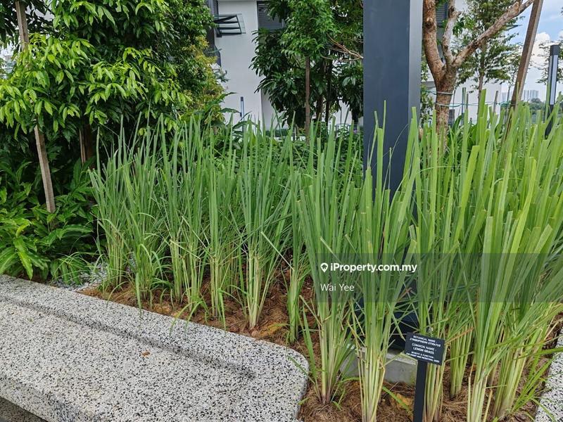 Service Residence for Sale in Sunway Belfield by Wai Yee - iProperty.com.my