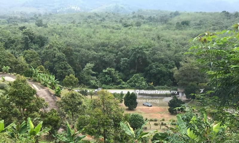 Agricultural Land for Sale in Karak, Pahang by Irene Leong - iProperty.com.my
