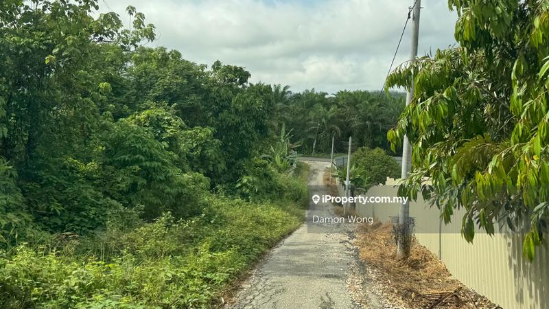 Agricultural Land for Sale in Sungai Ruan, Gali by Damon Wong - iProperty.com.my